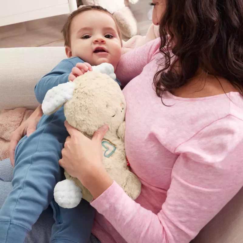 Fisher-Price Soothe & Settle Bunny mīkstā rotaļlieta mazulim un pielāgojama skaņas ierīce ar kustību