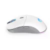 Pele ENDORFY GEM Plus Wireless Onyx balta RF Wireless + USB Type-C