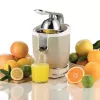 Electric Citrus Press Ariete 0413/03 0.6L 85W Beige