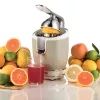 Electric Citrus Press Ariete 0413/03 0.6L 85W Beige