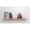 Skrūvju āķu un sienas dībeļu komplekts Fischer 564173 25 gab. Plastmasa 8 mm