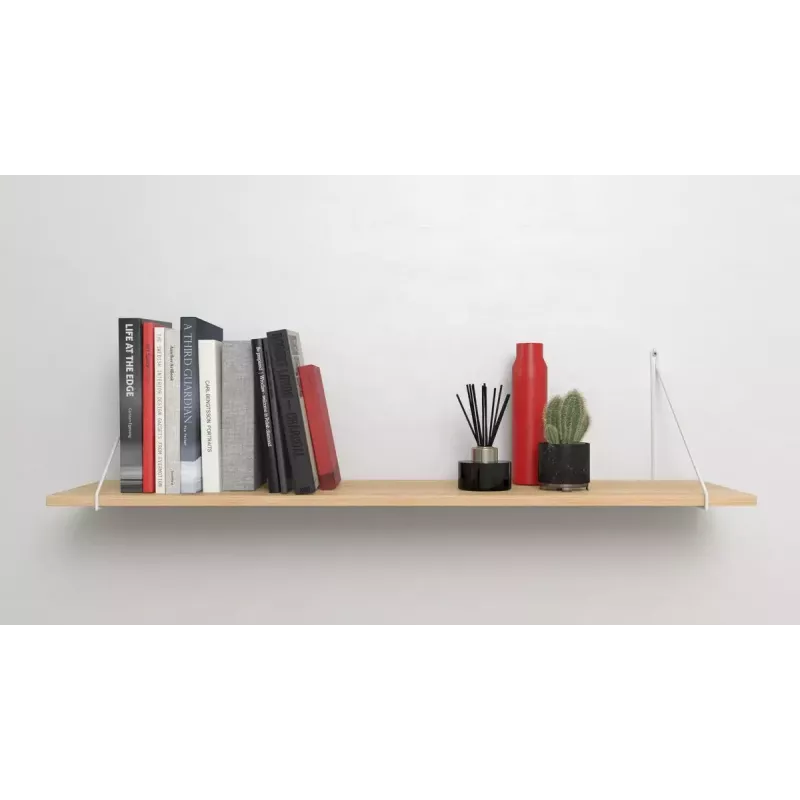 Skrūvju āķu un sienas dībeļu komplekts Fischer 564169 25 gab. Plastmasa 8 mm