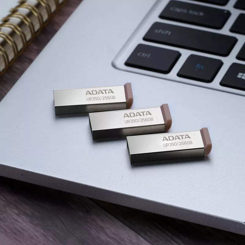 ADATA UR350 USB zibatmiņa 256 GB USB Type-A 3.2 Gen 1 (3.1 Gen 1) Melna, Sudraba