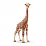 Figūra, Schleich, WILD LIFE Žirafe, mātīte