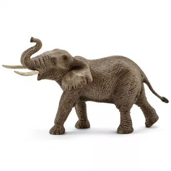 schleich WILD LIFE Āfrikas zilonis, tēviņš, 3 gadi, Safari, Savvaļas dzīvnieki / piedzīvojumu rotaļlietas, Daudzkrāsains, Plastmasa, 1 gab.