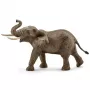 schleich WILD LIFE Āfrikas zilonis, tēviņš, 3 gadi, Safari, Savvaļas dzīvnieki / piedzīvojumu rotaļlietas, Daudzkrāsains, Plastmasa, 1 gab.