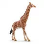 Figūra Schleich WILD LIFE Žirafe tēviņš