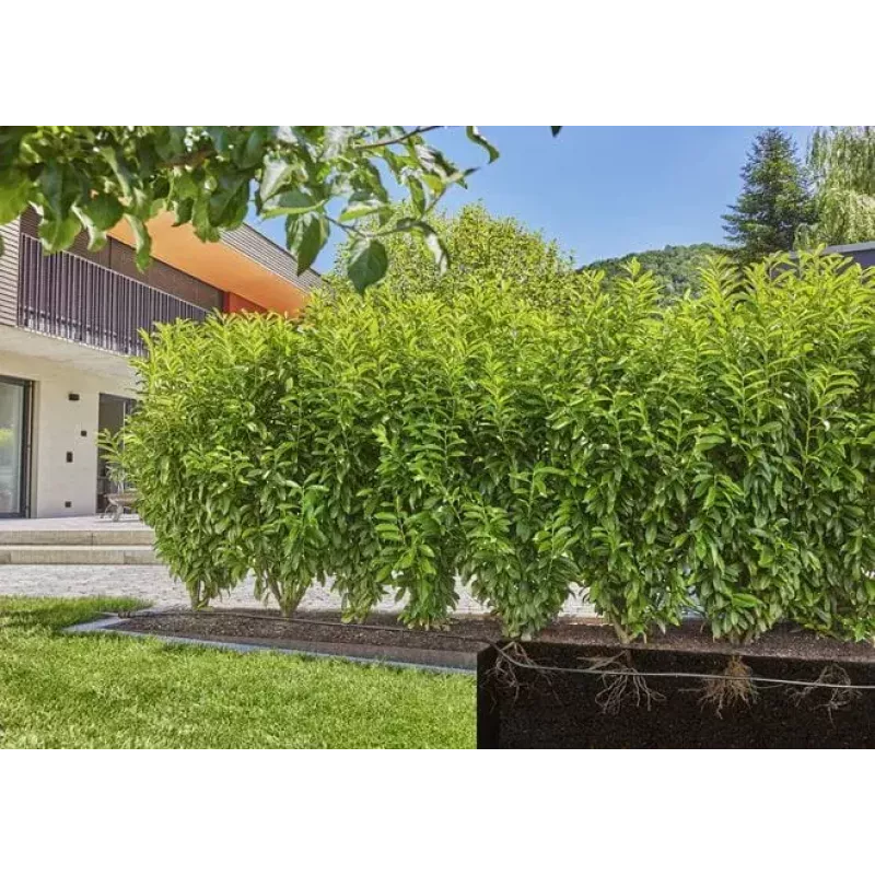 Pilienveida apūdeņošanas sistēma Gardena 13500-20