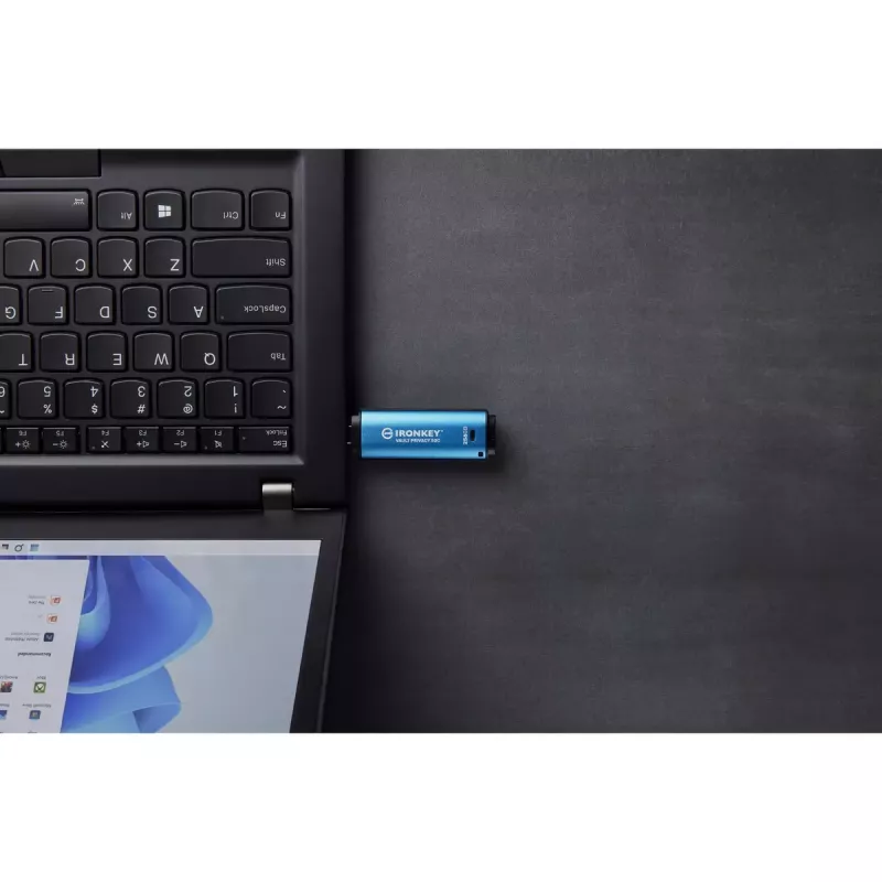 Kingston Technology IronKey 256 GB USB-C Vault Privacy 50C AES-256 šifrēts, FIPS 197