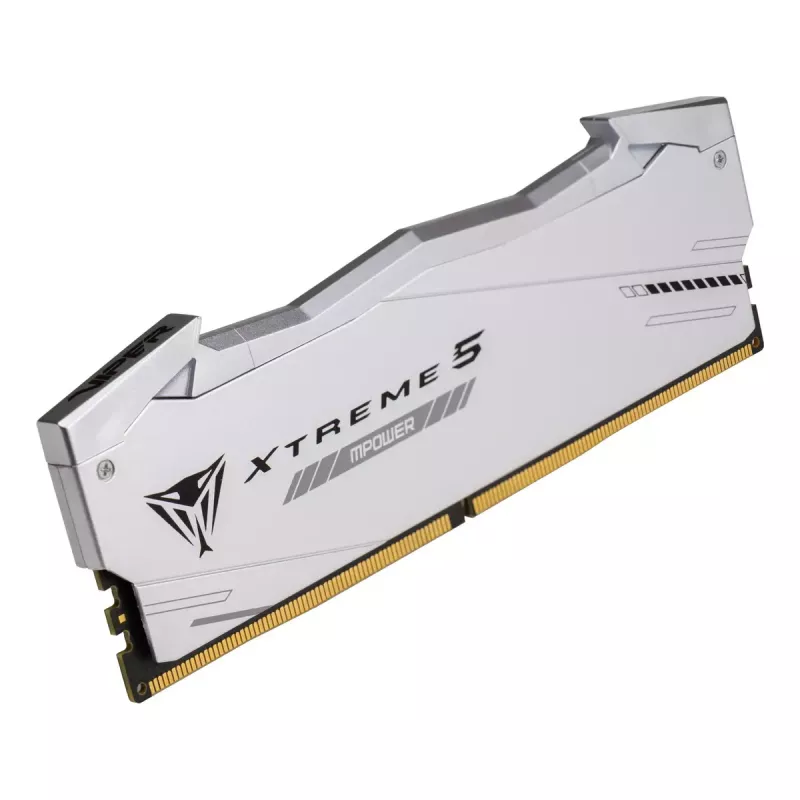 Patriot Viper Gaming RGB XTREME 5 DDR5-8000 RAM, CL 38, Intel XMP 3.0 - 32GB Dual-Kit, silber