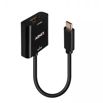 Lindy USB Type C uz DisplayPort 4K144 pārveidotājs, USB Type-C, DisplayPort izeja, 3840 x 2160 pikseļi