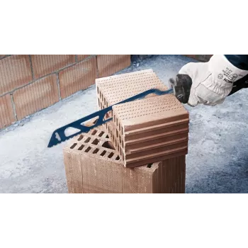 Bosch Expert S 2243 HM zāģa asmens karbīds 1 gab.