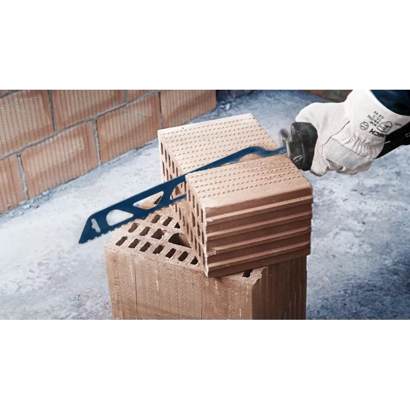 Bosch Expert S 2243 HM zāģa asmens karbīds 1 gab.