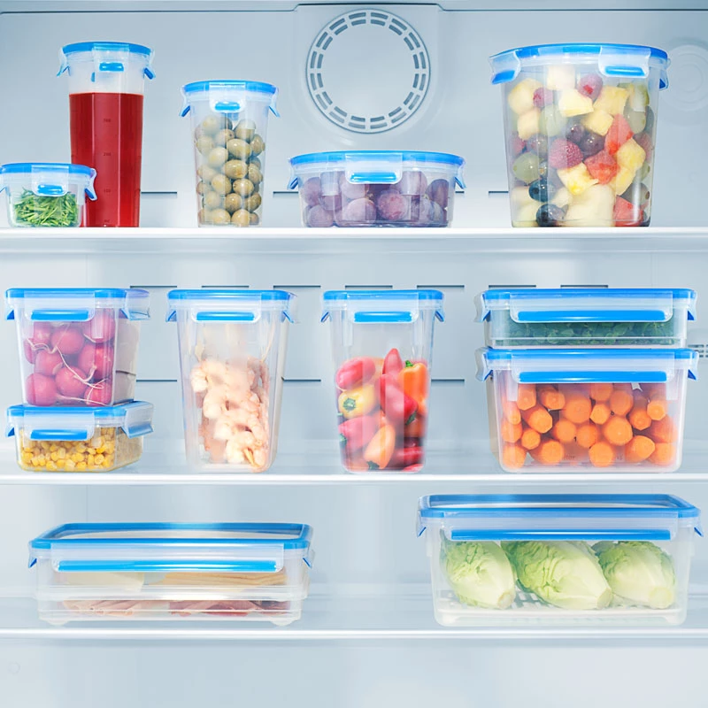 EMSA 508544 food storage container Rectangular Box 2.3 L Transparent 6 gab.
