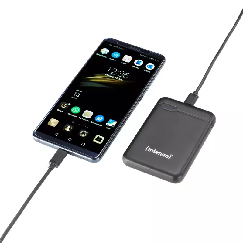 Intenso 7313520 ārējais akumulators 5000 mAh
