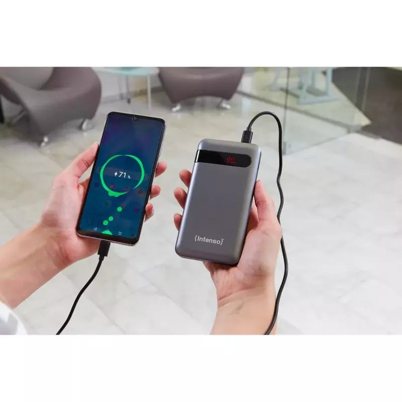 Portable baterija Intenso PD10000 10000 mAh