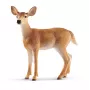 Figūra Schleich WILD LIFE Baltastes briedis