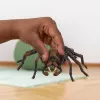 schleich Harijs Poters Mīkstpirkstiņš, 6 gadi, Maģiskie Radījumi, Melns, Brūns, Balts, Plastmasa