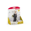 schleich Rons Vīzlijs un Kašķis, 6 gadi, Harijs Poters™, Daudzkrāsains, Plastmasa