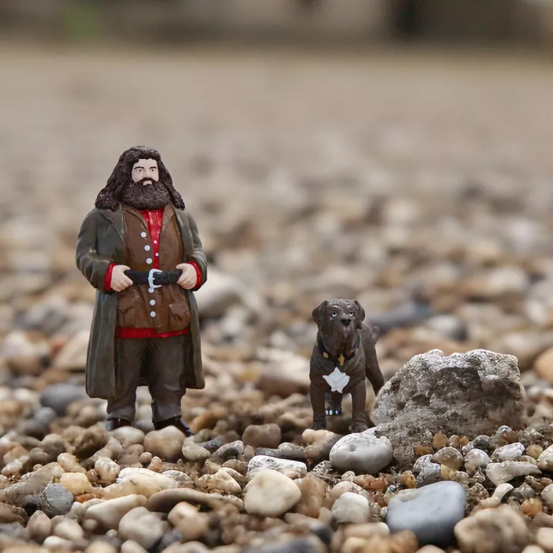 schleich Hagrid & Fang, 6 gadi, Harijs Poters™, Daudzkrāsains, Plastmasa