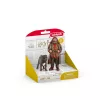 schleich Hagrid & Fang, 6 gadi, Harijs Poters™, Daudzkrāsains, Plastmasa