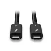 Lindy 1m Thunderbolt 4 kabelis, 40Gbps, pasīvs, vīrietis, vīrietis, 1 m, 40 Gbit/s, melns, niķelis/zelts