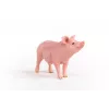 Figure Schleich cūkas modelis 13933, rozā, ieteicamais vecums 3+