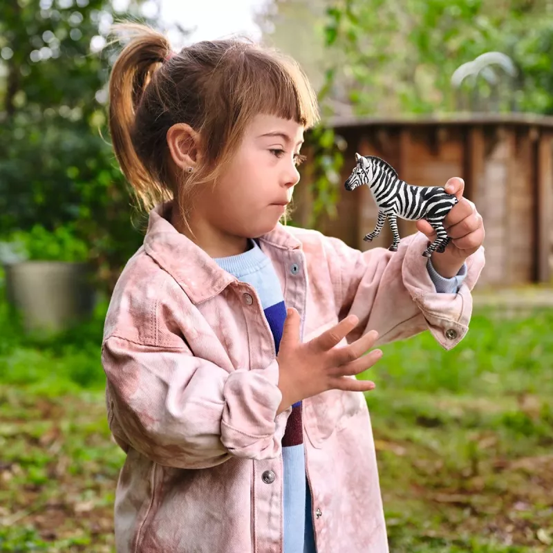 schleich WILD LIFE Zebra mātīte, 3 gadi, Safari, Savvaļas dzīvnieki / piedzīvojumu rotaļlietas, Daudzkrāsains, Plastmasa, 1 gab.