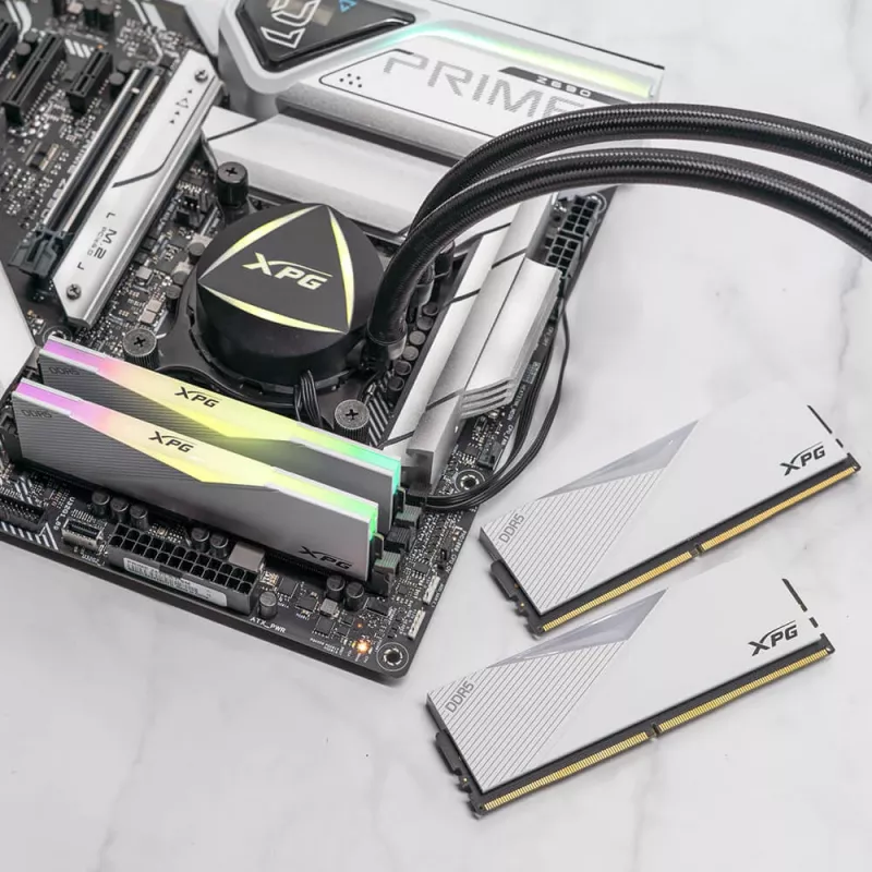DIMM 64 GB DDR5-6400 (2x 32 GB) Dual-Kit, Arbeitsspeicher weiß, AX5U6400C3232G-DCLARWH, Lancer RGB, INTEL XMP