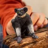 Figūra Schleich WILD LIFE Indri Daudzkrāsaina 14877S Ieteicamais vecums 3 gadi