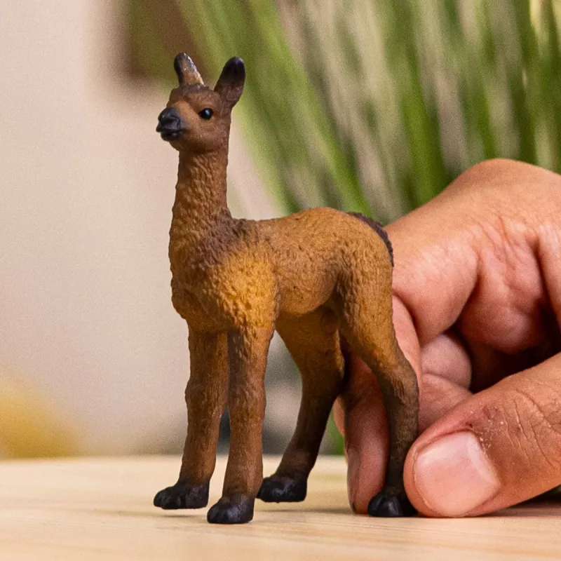 schleich FARM WORLD Lamas mazulis, 3 gadi, Lauku sēta, Lauku dzīvnieki / rotaļlietas no lauku sētas, Daudzkrāsaina