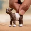schleich LAUKU PASAULE Kazlēns, 3 gadi, Lauku sēta, Lauku dzīvnieki / lauku rotaļlietas, Daudzkrāsaina