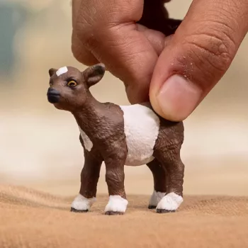 schleich LAUKU PASAULE Kazlēns, 3 gadi, Lauku sēta, Lauku dzīvnieki / lauku rotaļlietas, Daudzkrāsaina