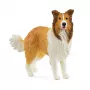 schleich FARM WORLD Kollijs, 3 gadi, Lauku sēta, Lauku dzīvnieki / lauku rotaļlietas, Daudzkrāsains