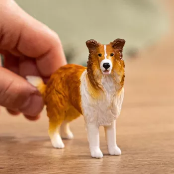 schleich FARM WORLD Kollijs, 3 gadi, Lauku sēta, Lauku dzīvnieki / lauku rotaļlietas, Daudzkrāsains