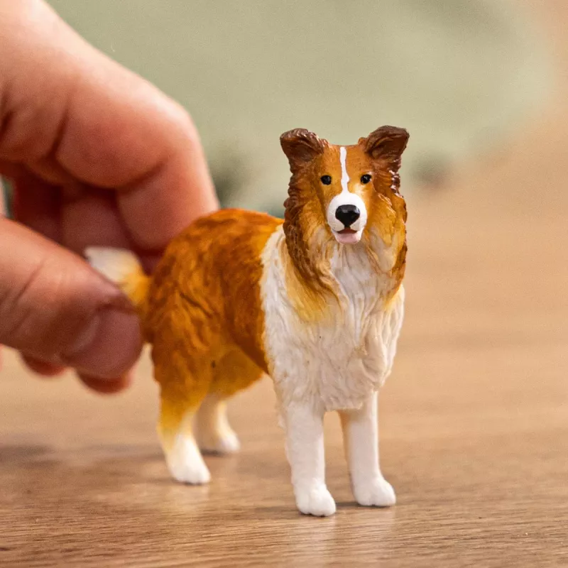schleich FARM WORLD Kollijs, 3 gadi, Lauku sēta, Lauku dzīvnieki / lauku rotaļlietas, Daudzkrāsains