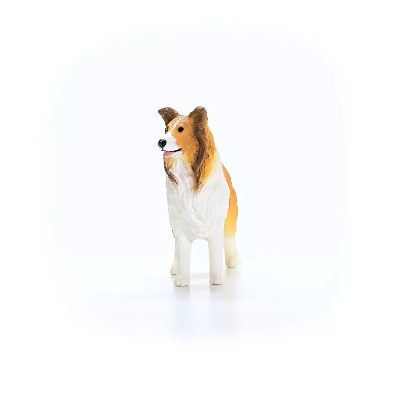 schleich FARM WORLD Kollijs, 3 gadi, Lauku sēta, Lauku dzīvnieki / lauku rotaļlietas, Daudzkrāsains