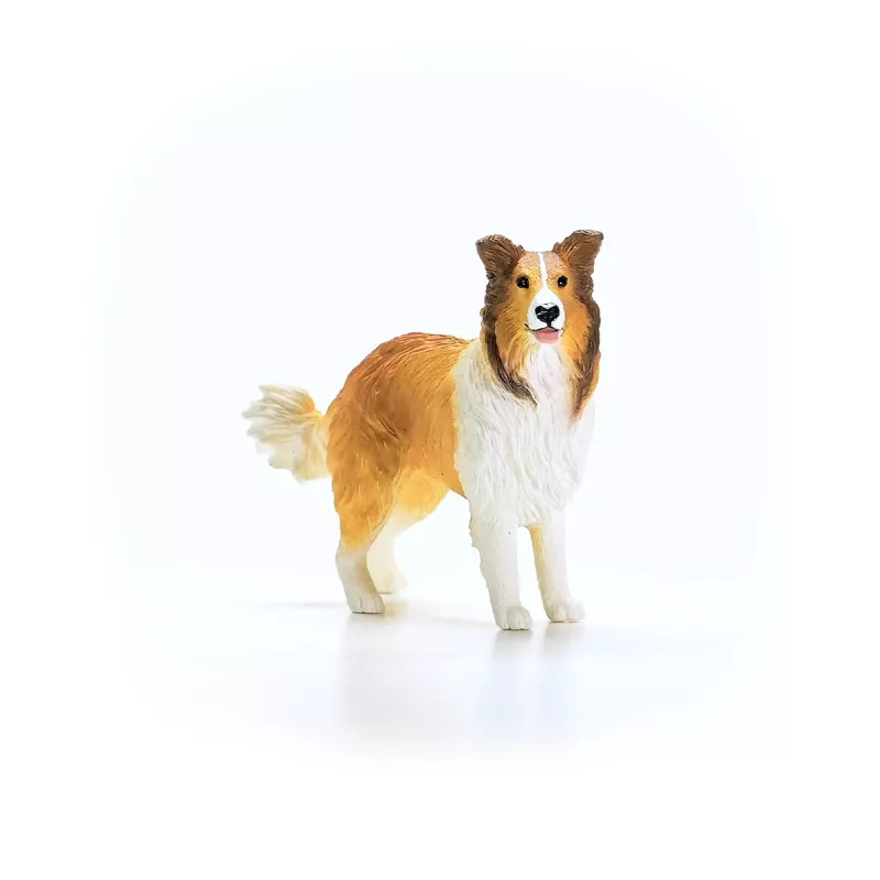 schleich FARM WORLD Kollijs, 3 gadi, Lauku sēta, Lauku dzīvnieki / lauku rotaļlietas, Daudzkrāsains