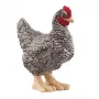 schleich FARM WORLD Plimutrokas vista, 3 gadi, Lauku sēta, Lauku dzīvnieki / lauku sētas rotaļlietas, Daudzkrāsains
