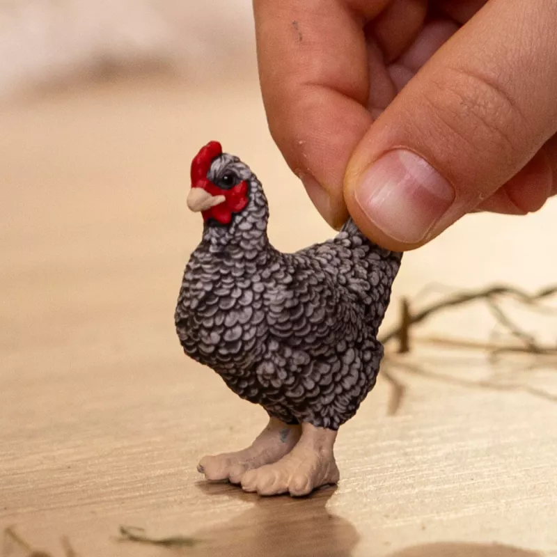 schleich FARM WORLD Plimutrokas vista, 3 gadi, Lauku sēta, Lauku dzīvnieki / lauku sētas rotaļlietas, Daudzkrāsains