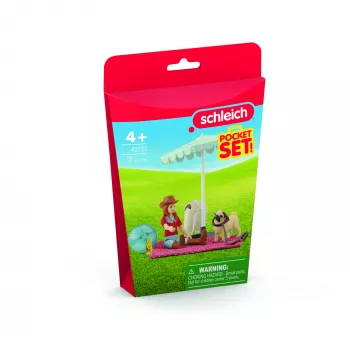 schleich ZIRGU KLUBS Dienas izbrauciens uz ezeru, Dzīvnieks, Zirgi, Kabatas komplekti, 5 gadi, Daudzkrāsains