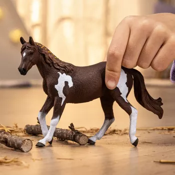 schleich HORSE CLUB Paint Horse ķēve, 5 gadi, Zirgi, Daudzkrāsains