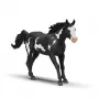 schleich ZIRGU KLUBS Paintas zirga kastrāts, 5 gadi, Zirgi, Daudzkrāsains