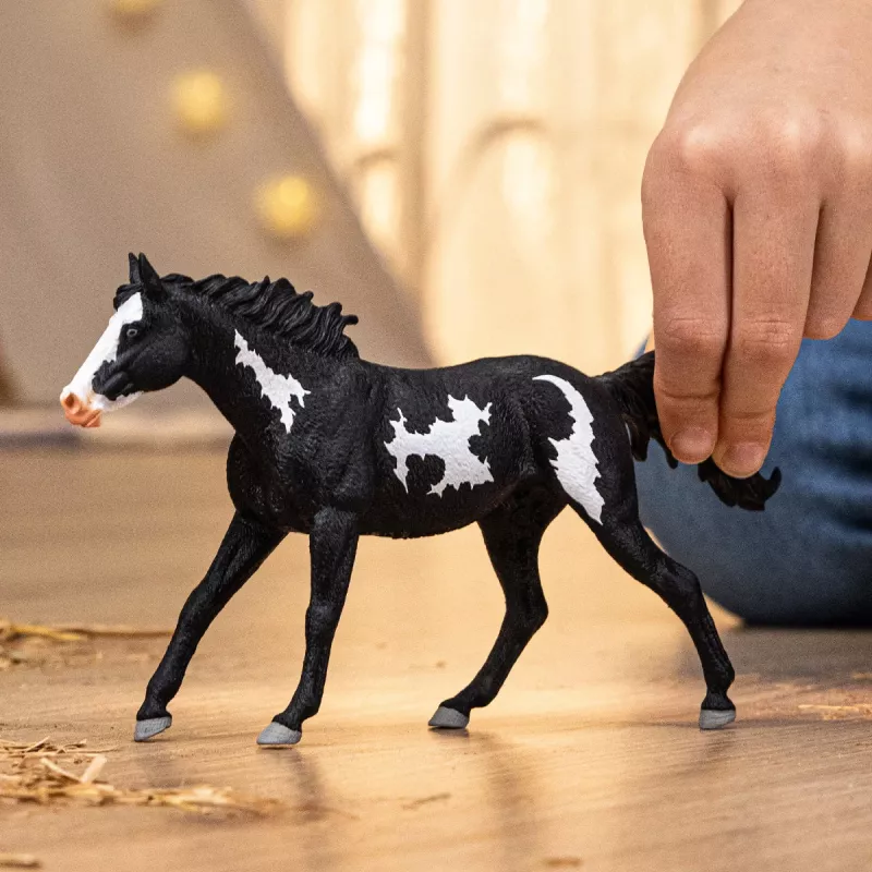 schleich ZIRGU KLUBS Paintas zirga kastrāts, 5 gadi, Zirgi, Daudzkrāsains