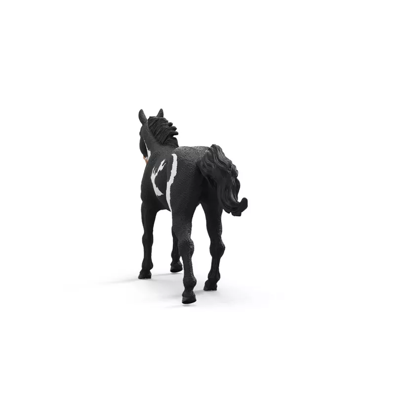 schleich ZIRGU KLUBS Paintas zirga kastrāts, 5 gadi, Zirgi, Daudzkrāsains