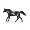 schleich ZIRGU KLUBS Paintas zirga kastrāts, 5 gadi, Zirgi, Daudzkrāsains