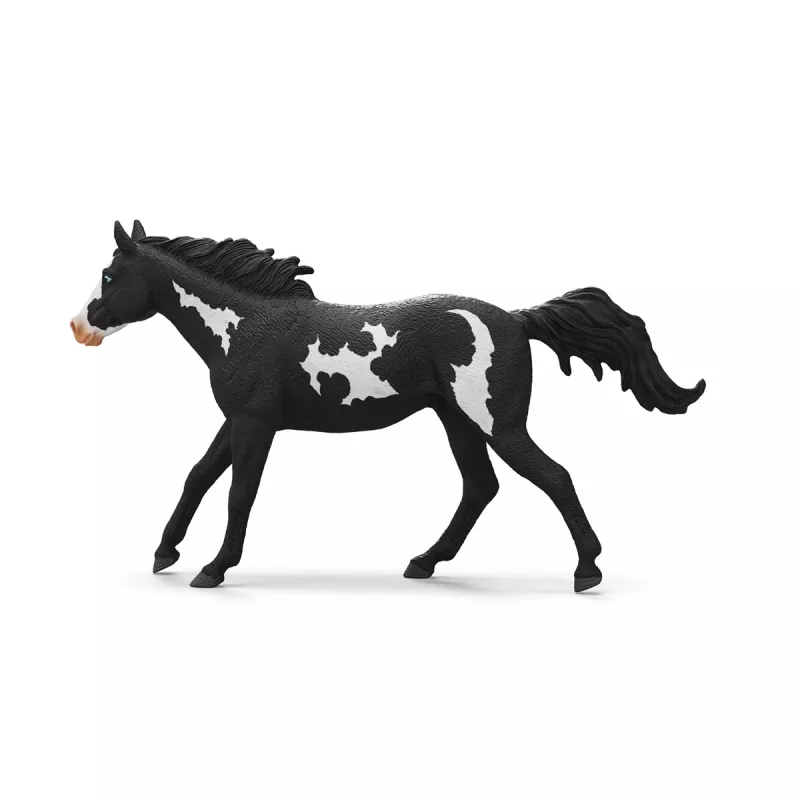schleich ZIRGU KLUBS Paintas zirga kastrāts, 5 gadi, Zirgi, Daudzkrāsains