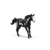 schleich ZIRGU KLUBS Paintas zirga kastrāts, 5 gadi, Zirgi, Daudzkrāsains