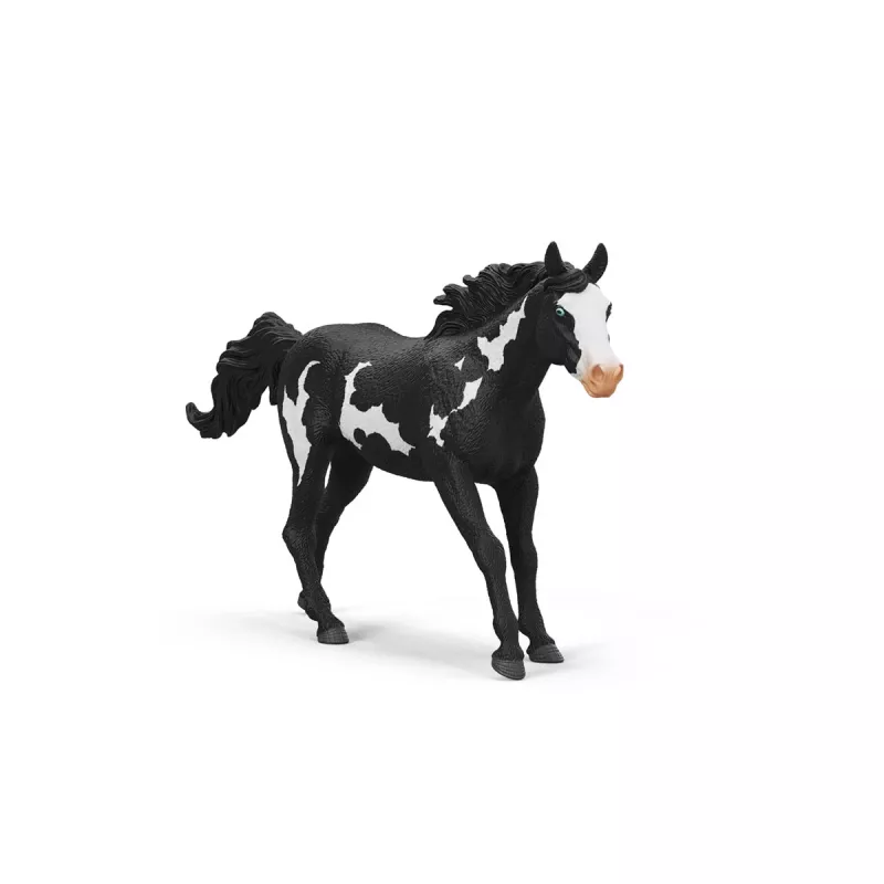 schleich ZIRGU KLUBS Paintas zirga kastrāts, 5 gadi, Zirgi, Daudzkrāsains