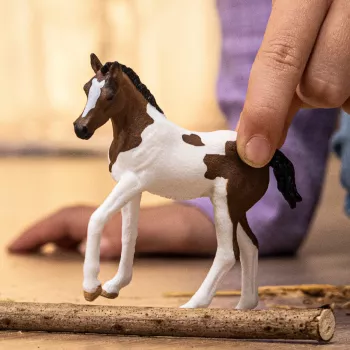 schleich HORSE CLUB Paintas zirga kumeļš, 5 gadi, Zirgi, Daudzkrāsains